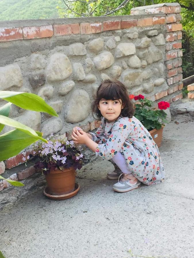 Guest House Babaka Siğnaği Dış mekan fotoğraf