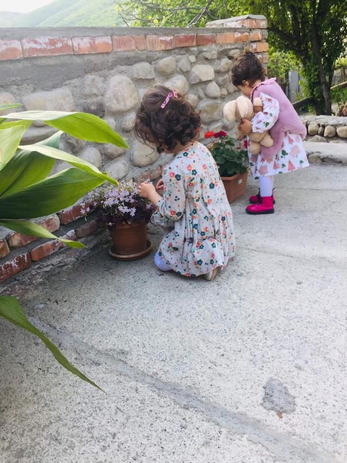 Guest House Babaka Siğnaği Dış mekan fotoğraf