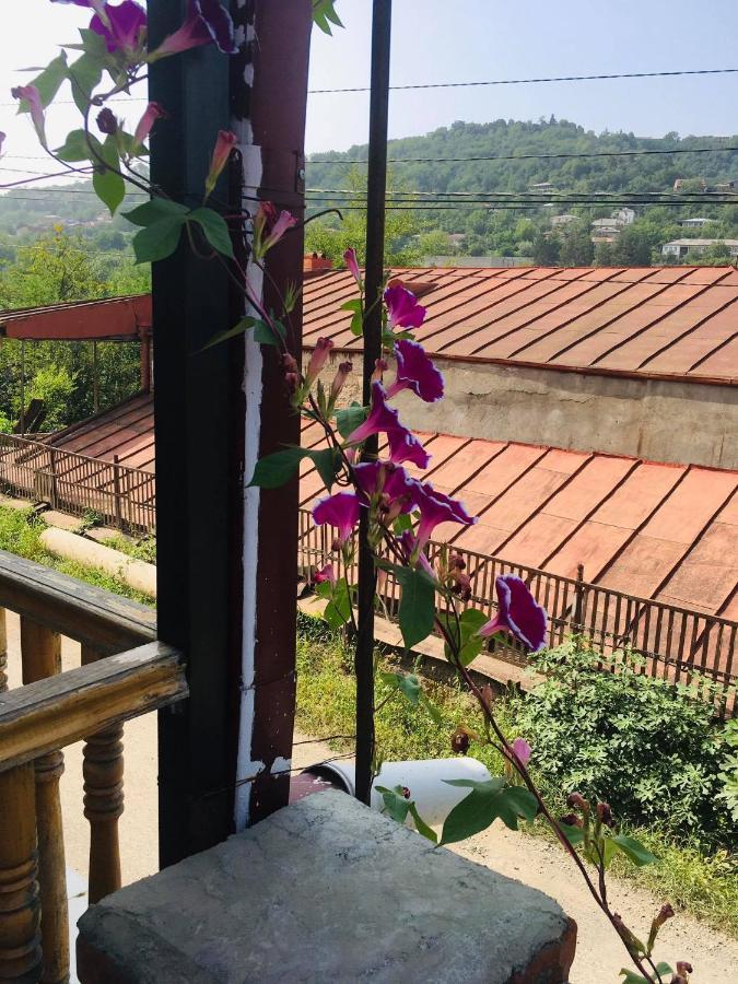 Guest House Babaka Siğnaği Dış mekan fotoğraf
