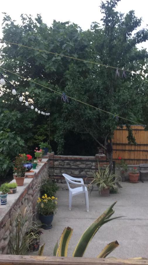 Guest House Babaka Siğnaği Dış mekan fotoğraf