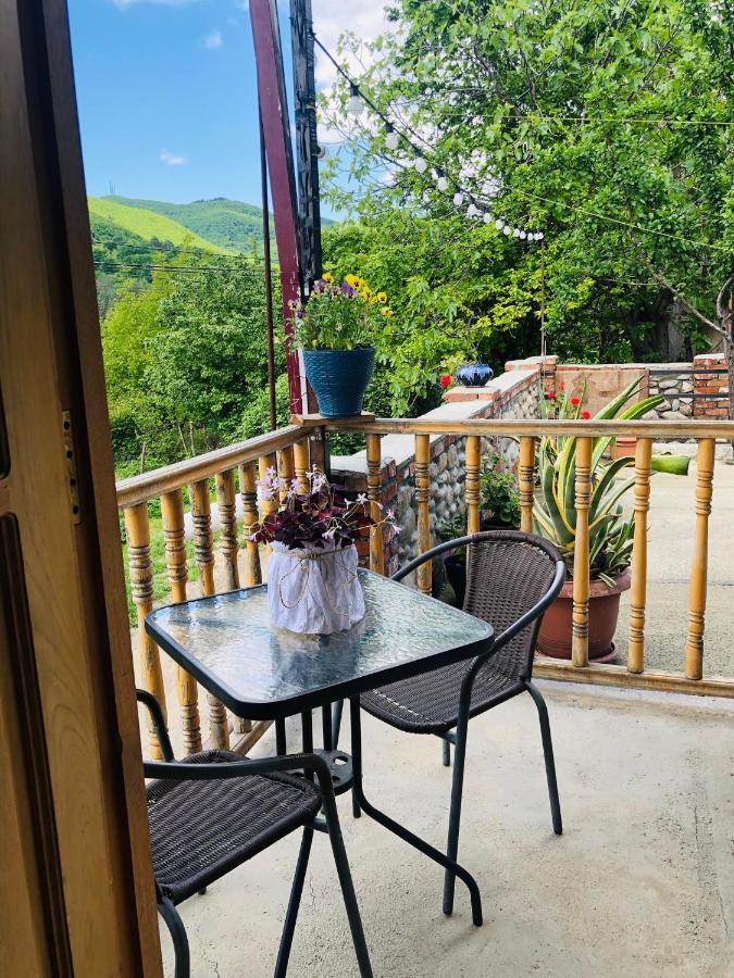 Guest House Babaka Siğnaği Dış mekan fotoğraf